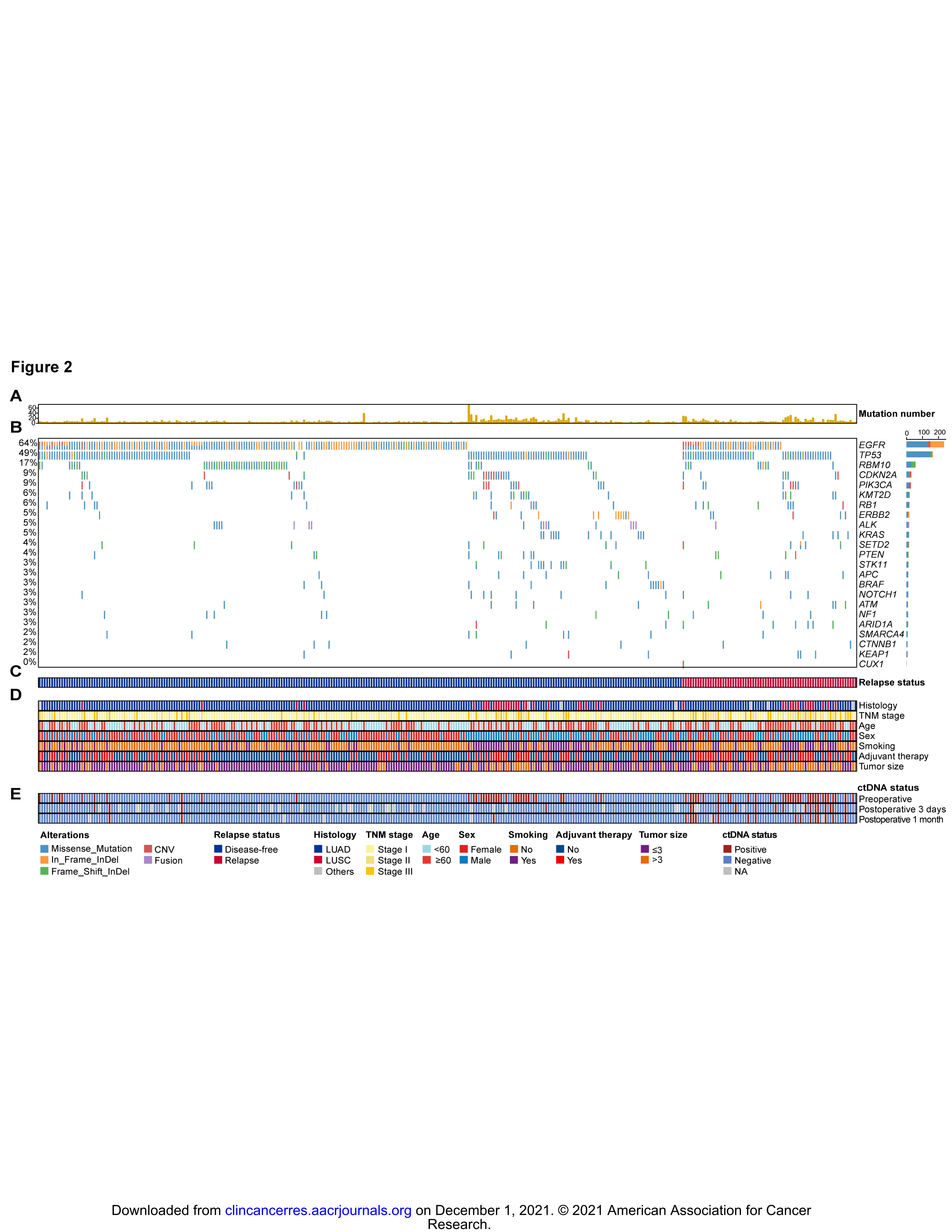 ctive Multicenter Cohort Study (LUNGCA-1)_35.jpg