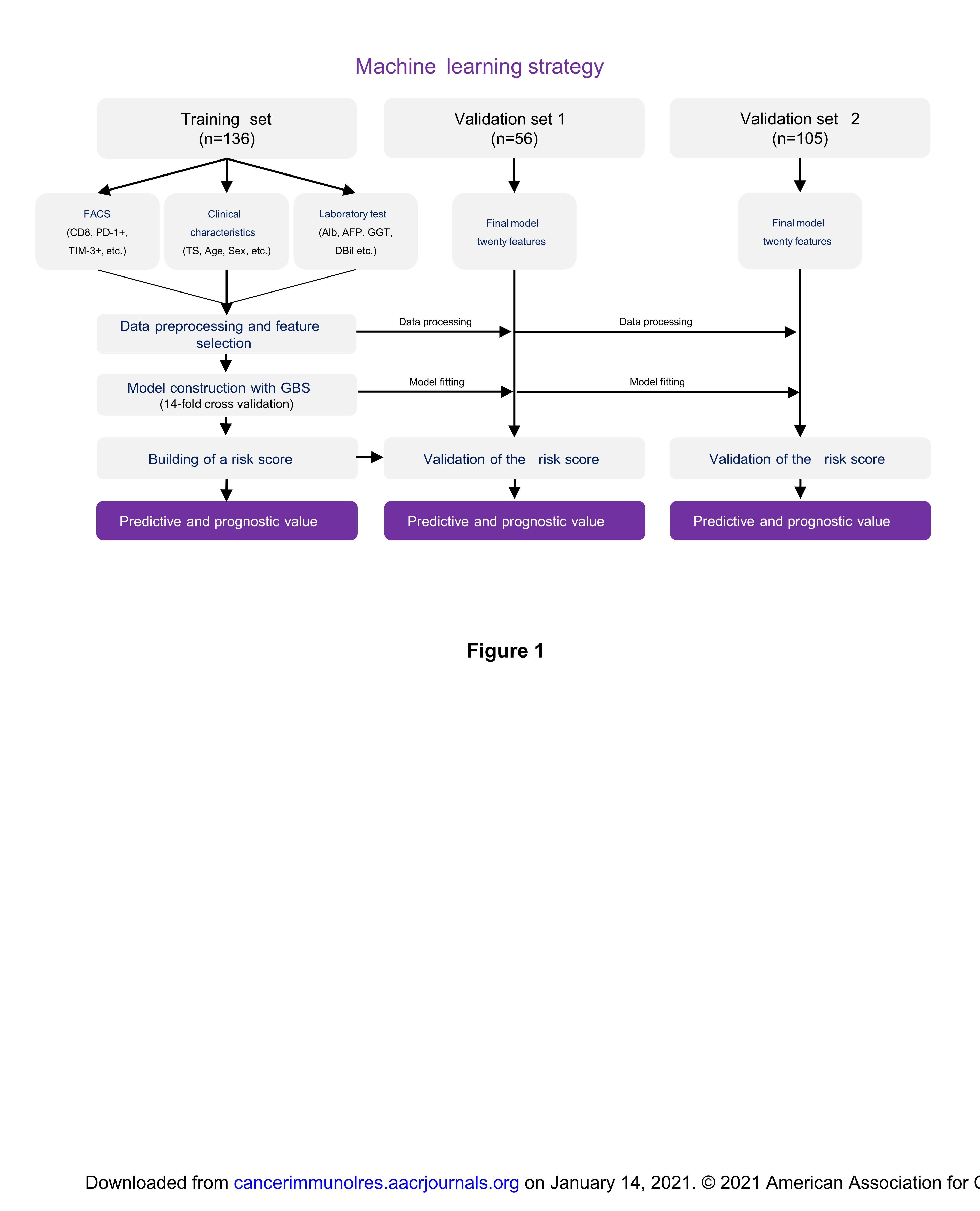 achine  learning  approach  yields  a  multiparameter  prognostic  marker  in liver cancer_25.jpg